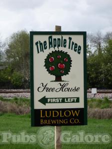 Picture of The Apple Tree
