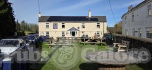 Picture of Rising Sun