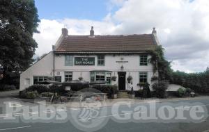 Picture of The Bay Horse
