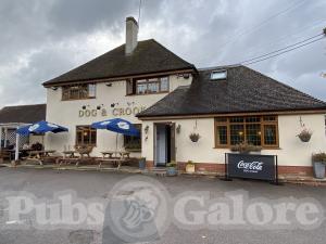 Picture of Dog & Crook