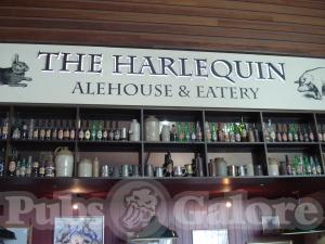 Picture of The Harlequin