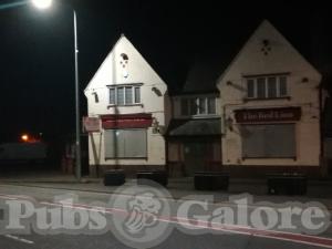 Picture of Red Lion