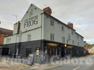 Picture of The Winking Frog