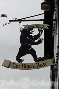 Picture of Black Bear