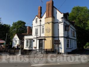 Picture of White Hart