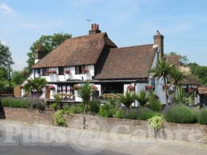 Picture of The White Swan