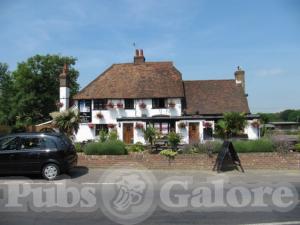 Picture of The White Swan