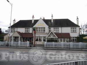 Picture of The Greyhound