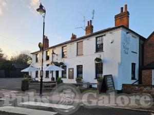 Picture of The White Oak