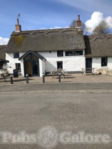 Picture of Black Bull