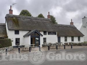 Picture of Black Bull