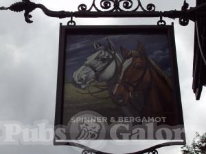 Picture of Spinner & Bergamot