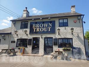Picture of The Brown Trout