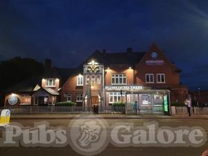 Picture of Plume of Feathers