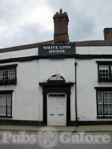 Picture of White Lion