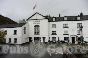 Picture of Swan