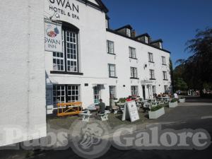 Picture of Swan
