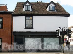 Picture of Bulls Head