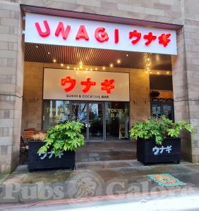Picture of Unagi