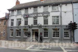 Picture of The Tiger