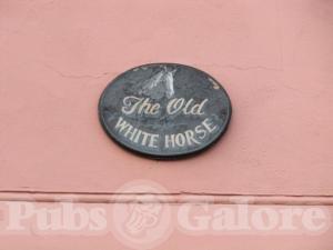 Picture of White Horse