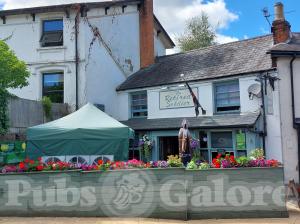 Picture of The Retired Soldier