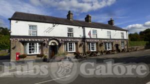 Picture of The Shady Oak