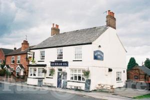Picture of Durham Ox