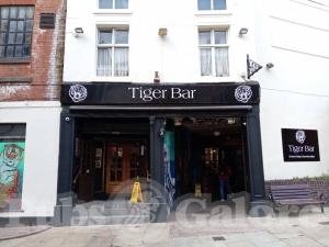 Picture of The Tiger