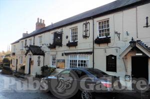 Picture of The White Swan