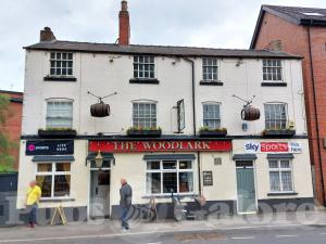 Picture of The Woodlark