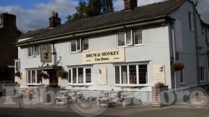 Picture of The Drum & Monkey