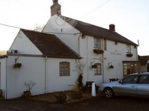 Picture of The White Horse