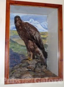 Picture of Scourie Hotel