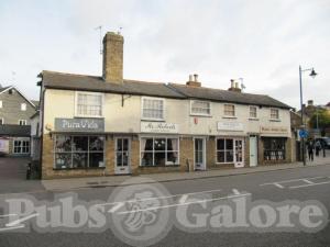 Picture of Turks Head