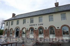 Picture of Brown Cow