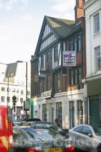 Picture of The Pied Bull