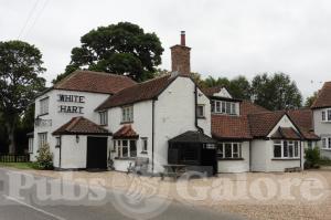 Picture of White Hart