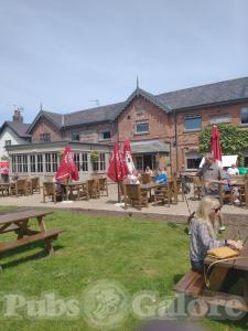 Picture of Drum & Monkey