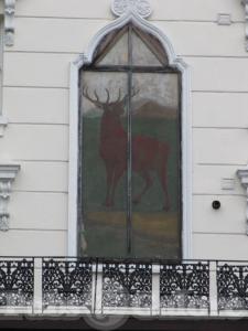 Picture of Red Deer