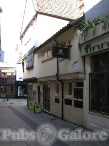 Picture of Bluebell