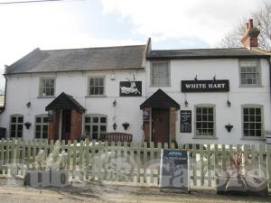 Picture of White Hart