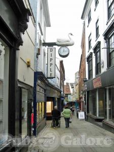 Picture of White Swan