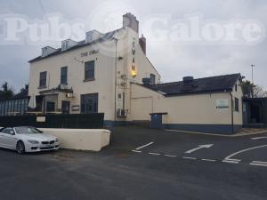 Picture of The Swan