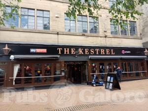 Picture of The Kestrel