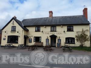 Picture of Red Lion