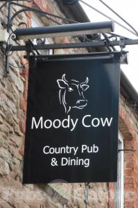 Picture of Moody Cow