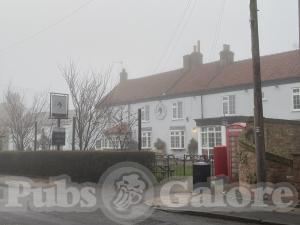 Picture of Black Horse