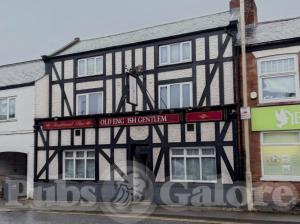 Picture of Old English Gentleman