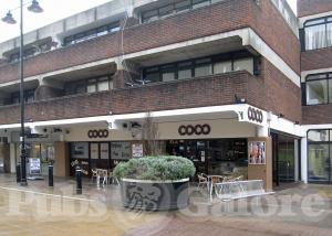Picture of Coco